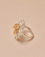 Anillo Crisantemo