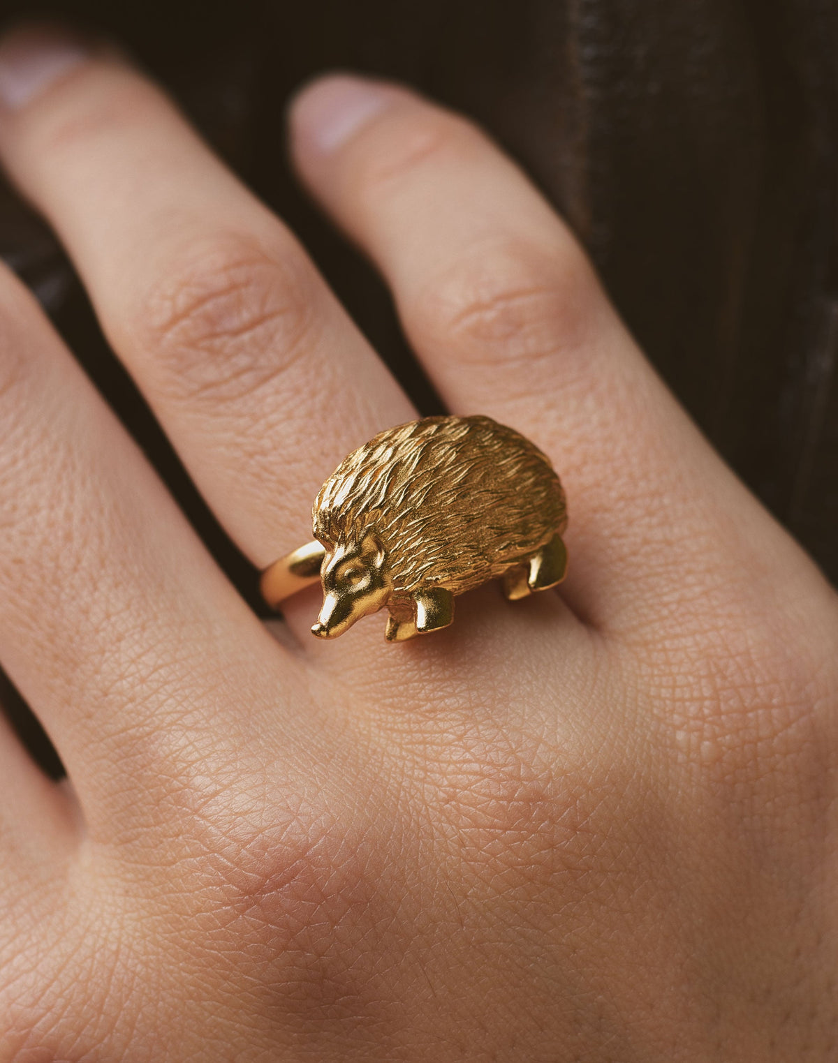 Anillo Puercoespín