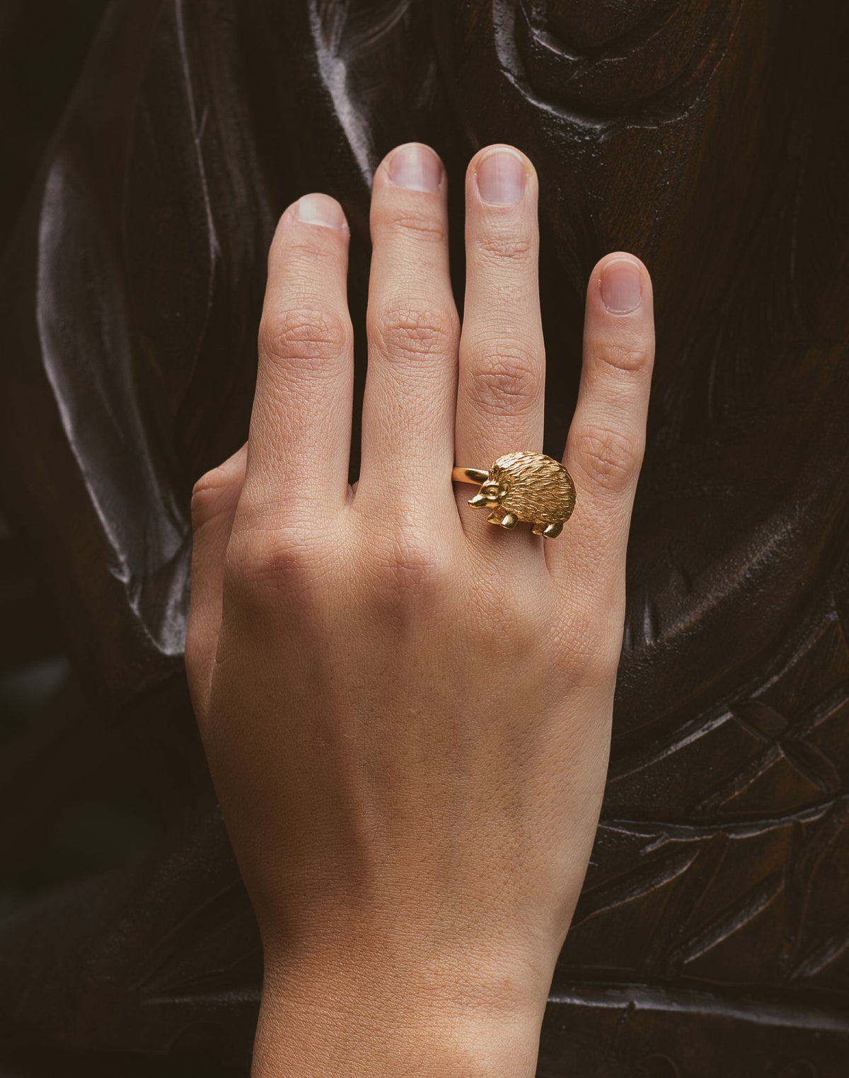 Anillo Puercoespín