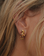 Aretes Caballito de Mar