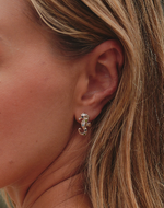 Aretes Caballito de Mar