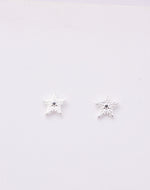 Aretes Estrella