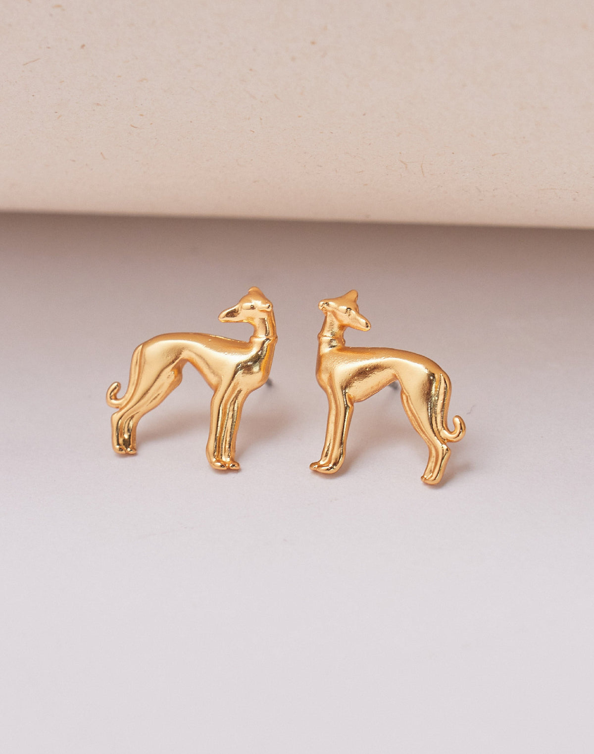 Aretes Galgo