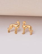 Aretes Galgo