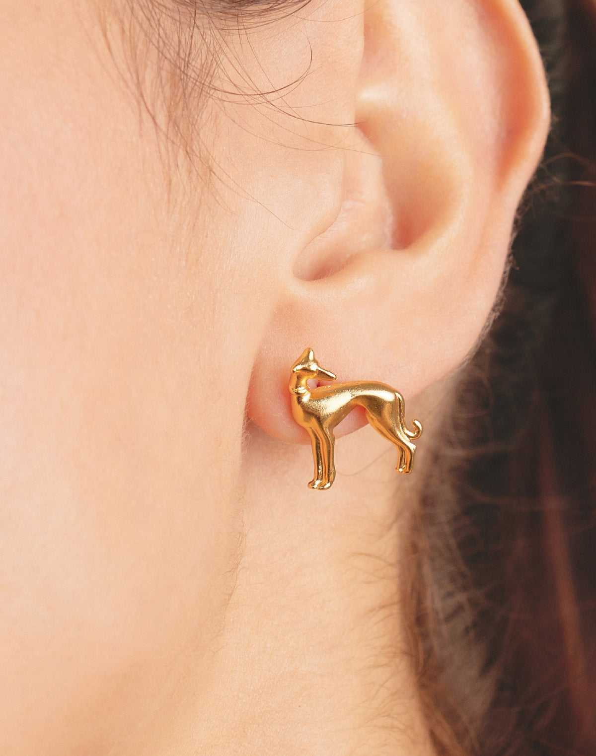 Aretes Galgo