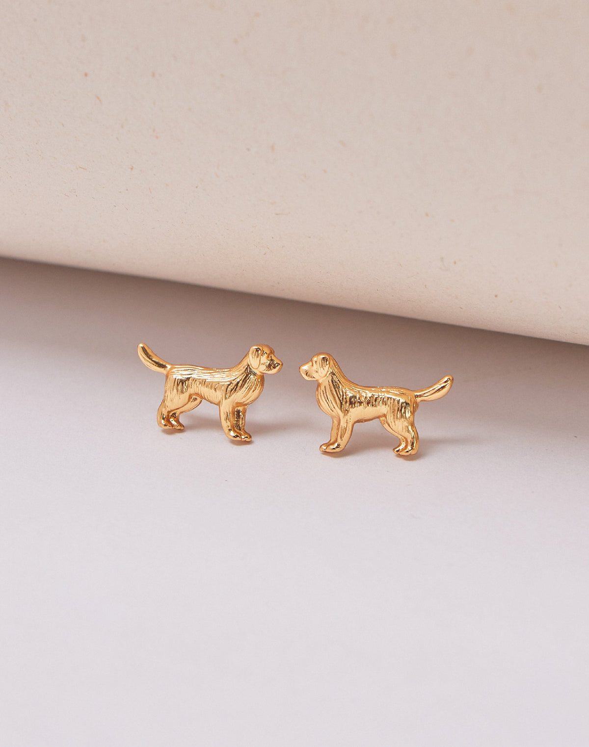 Aretes Golden Retriever
