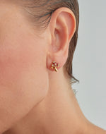 Aretes Hongo