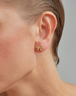 Aretes Moño