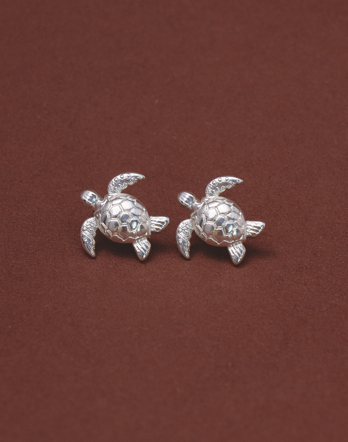 Aretes Tortuga Carey