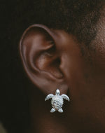 Aretes Tortuga Carey