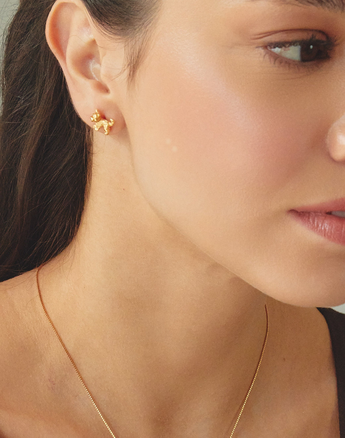 Aretes Yorkie