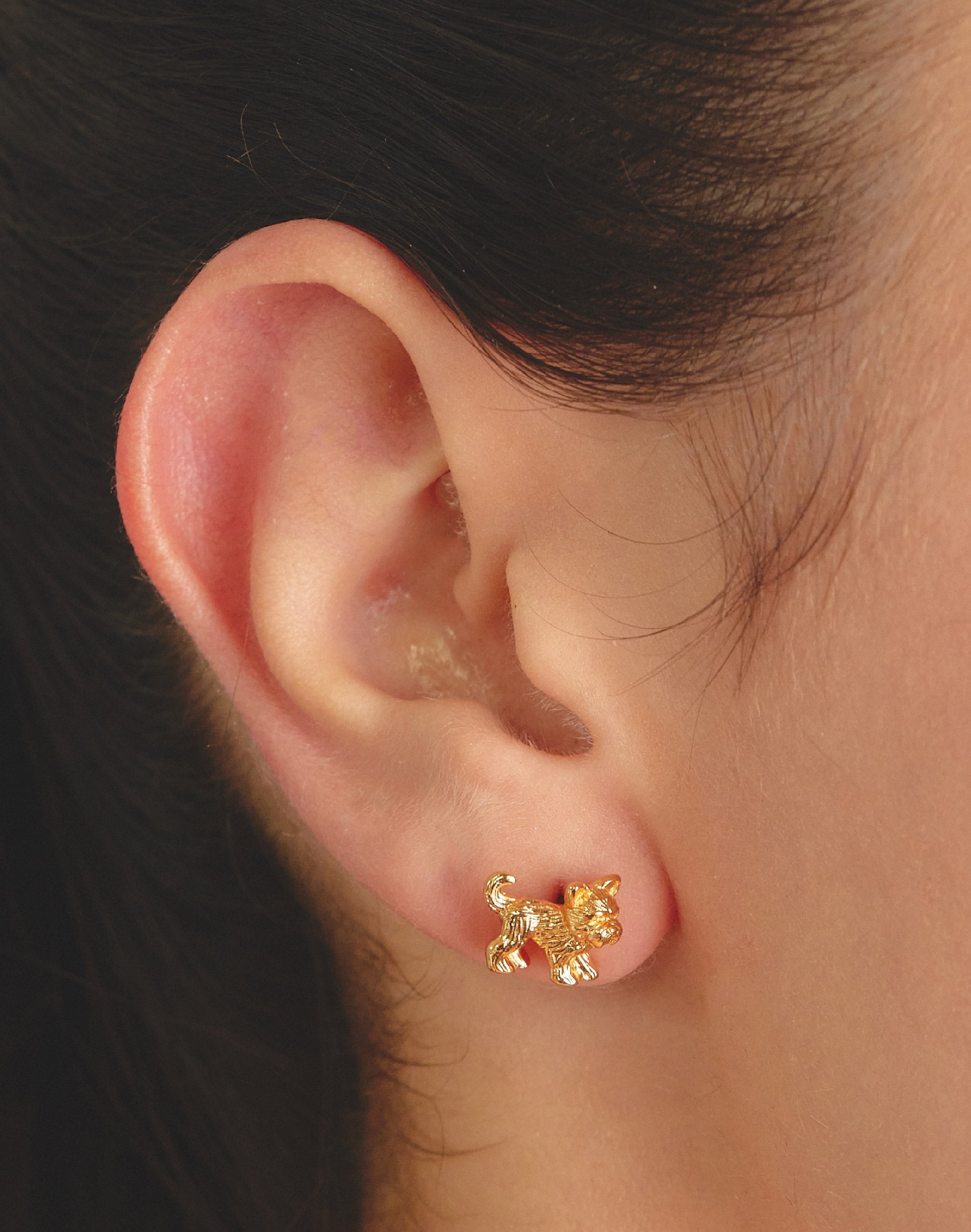 Aretes Yorkie