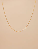 Collar Charming