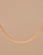 Collar Charming