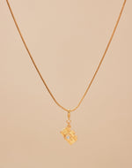 Collar Charming