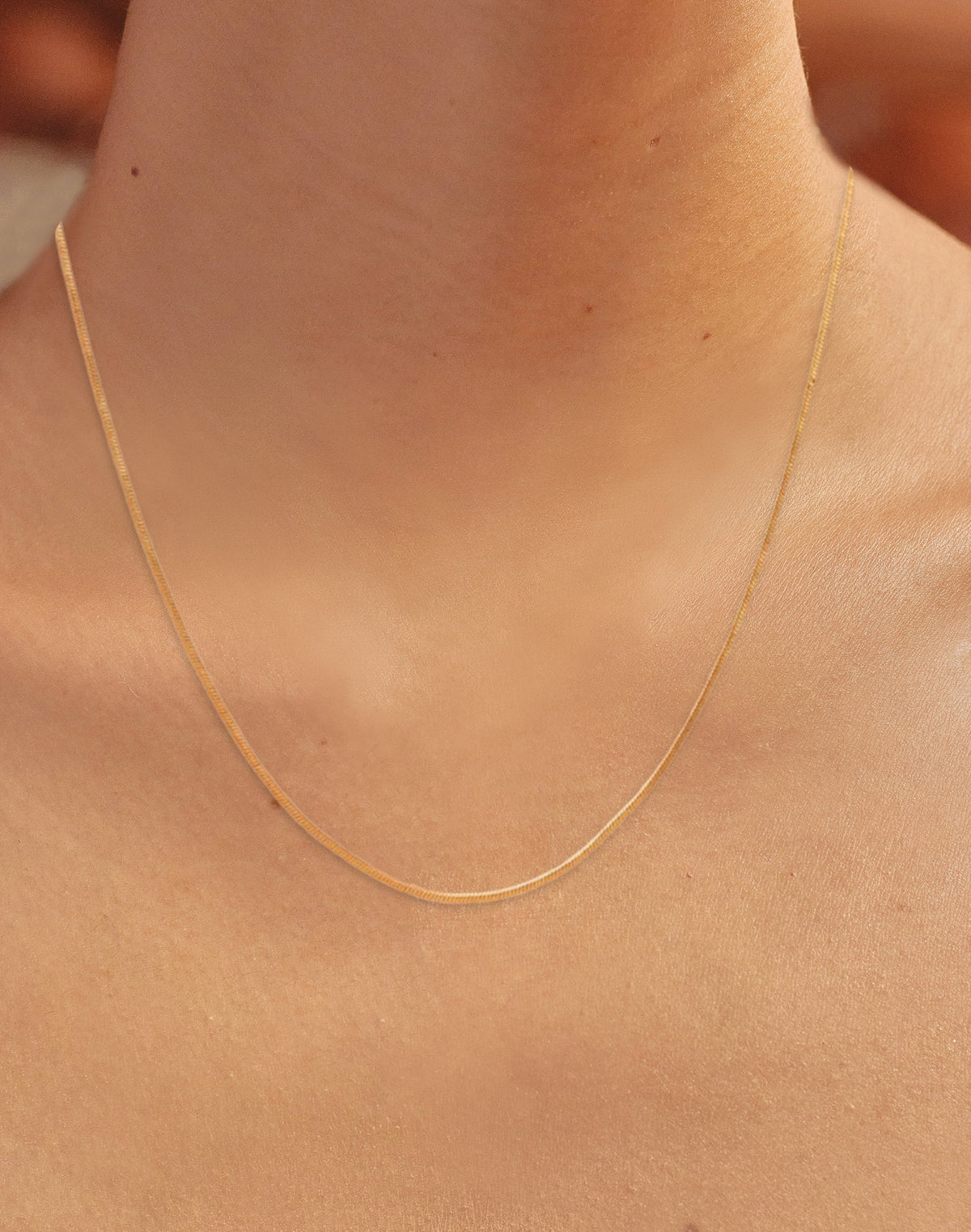 Collar Charming