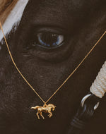 Collar Country