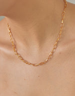 Collar Delhi