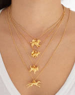 Collar Galgo