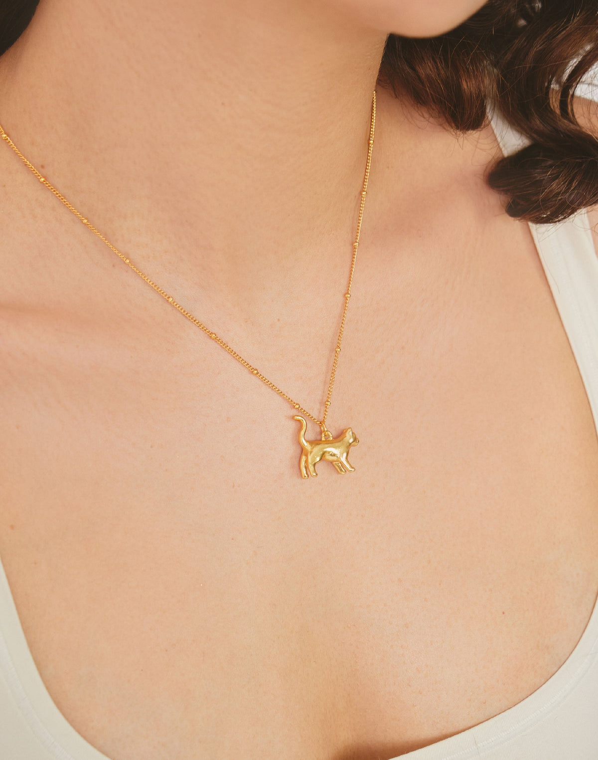 Collar Gato Tiffany