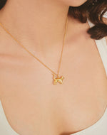 Collar Gato Tiffany