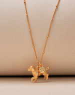 Collar Golden Retriever
