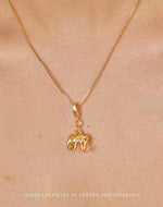 Collar Tiffany