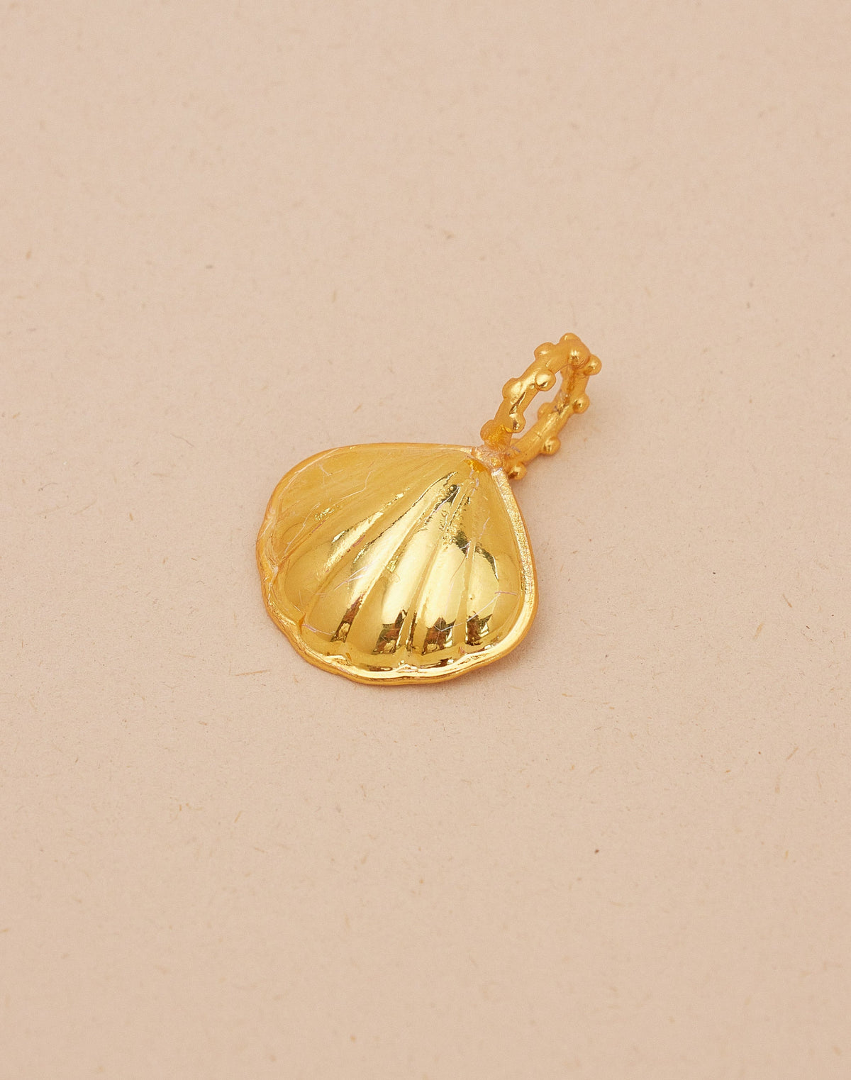 Maxi Charm Seashell