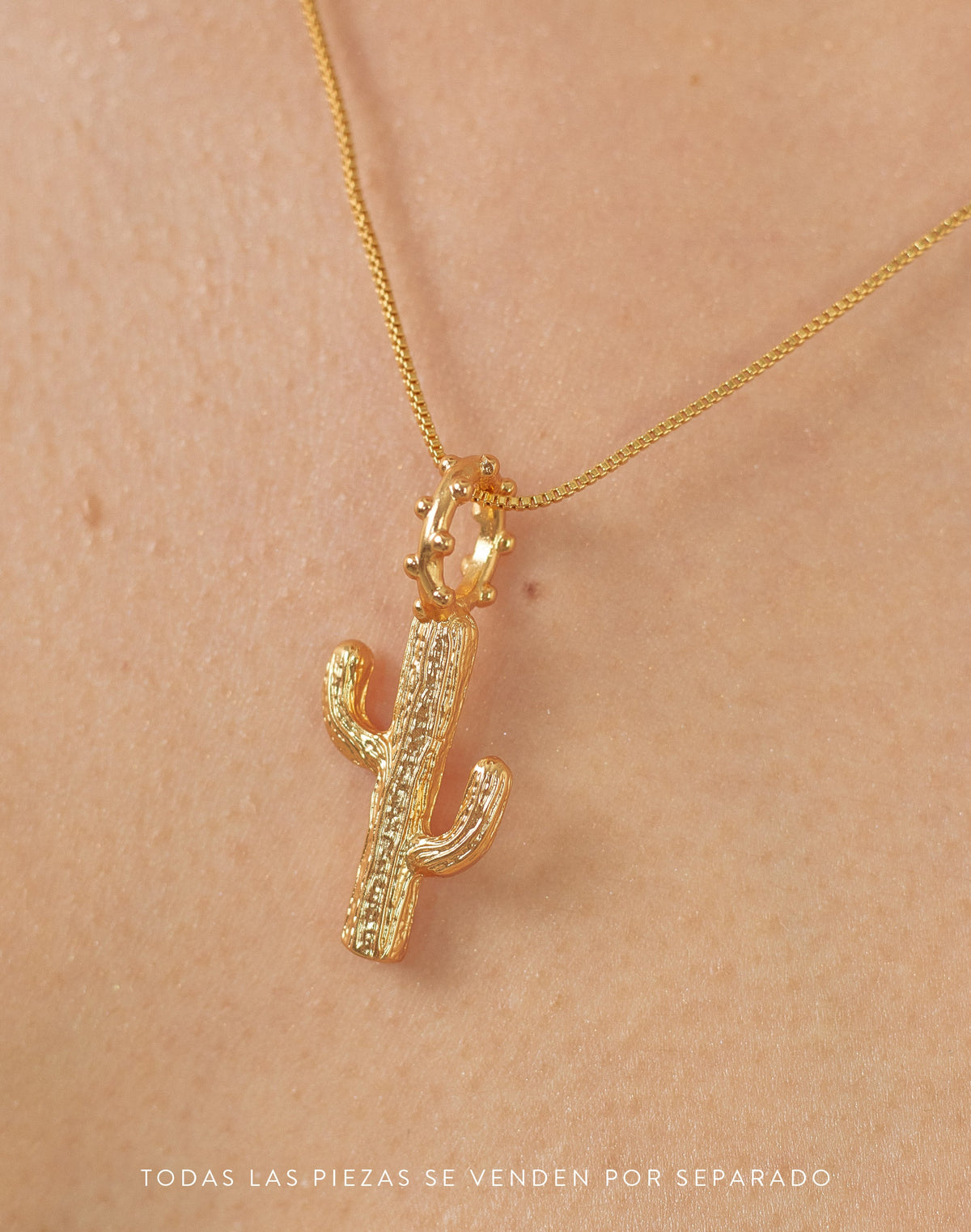 Maxi Charm Cactus