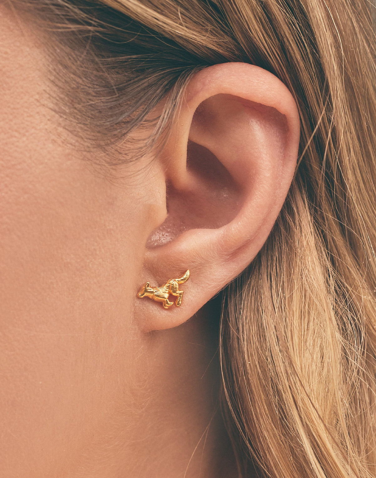 Maxi Collar + Aretes Índigo