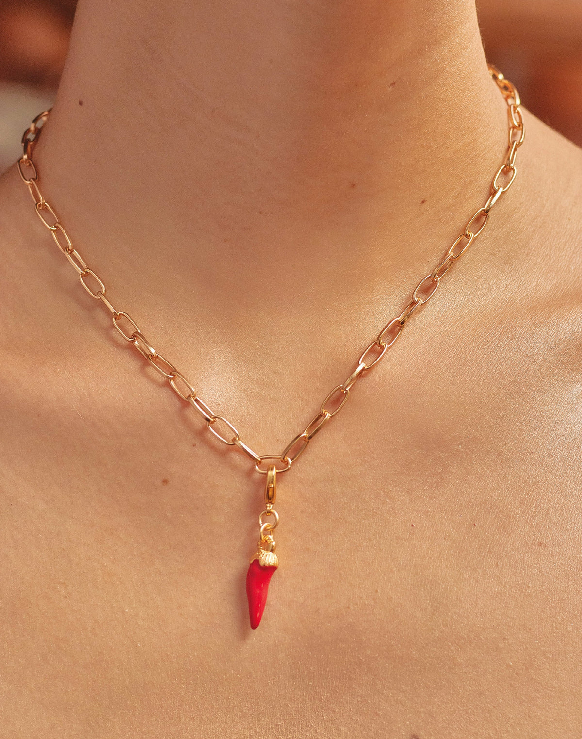Mini Charm Ají