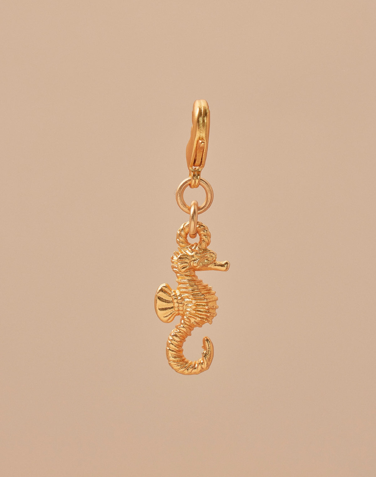 Mini Charm Caballito de Mar