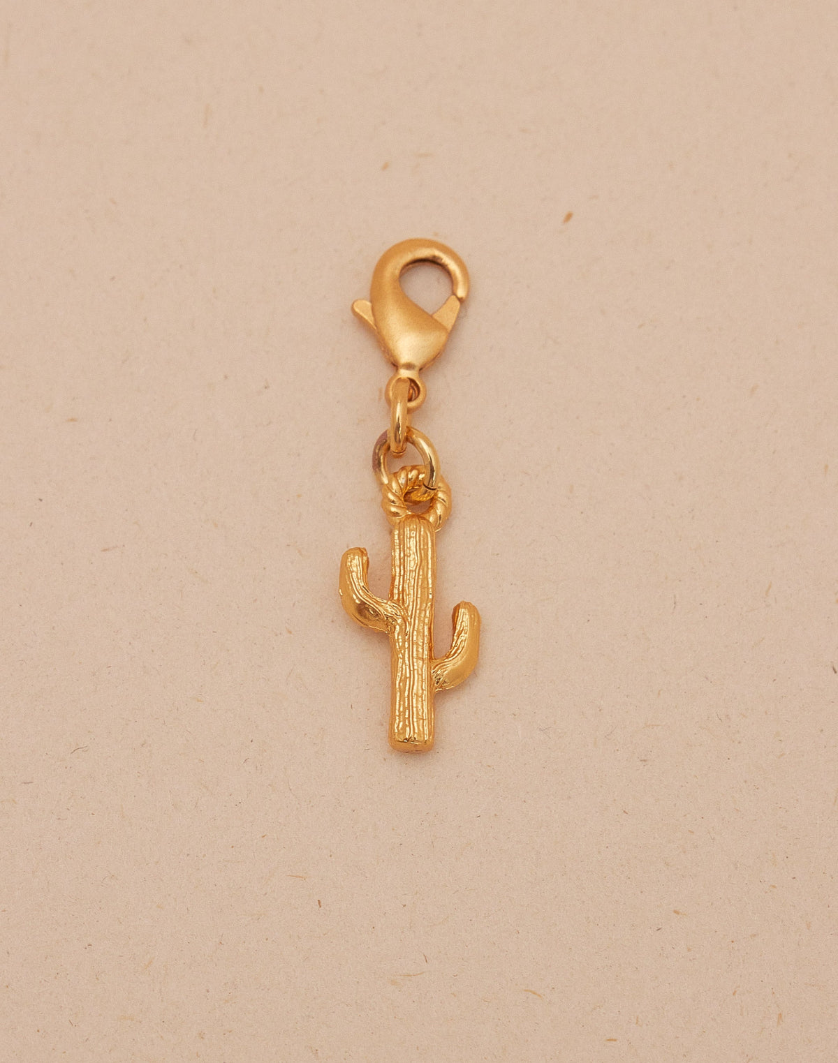 Mini Charm Cáctus