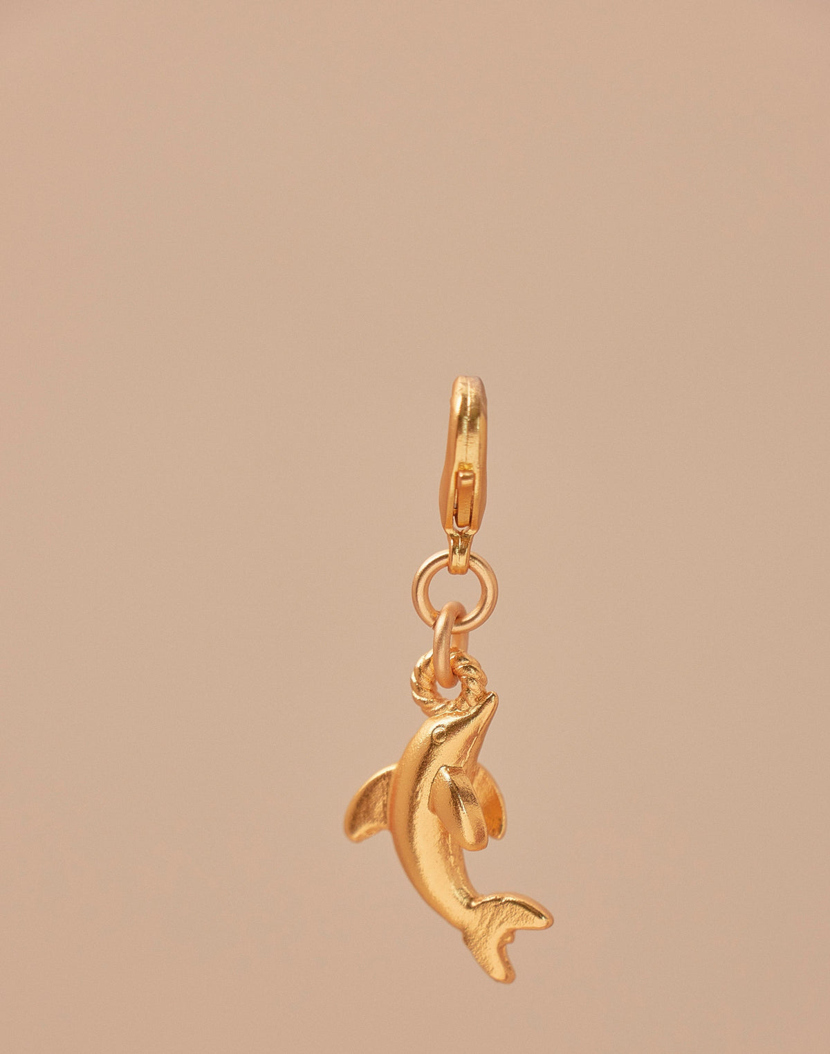 Mini Charm Delfín