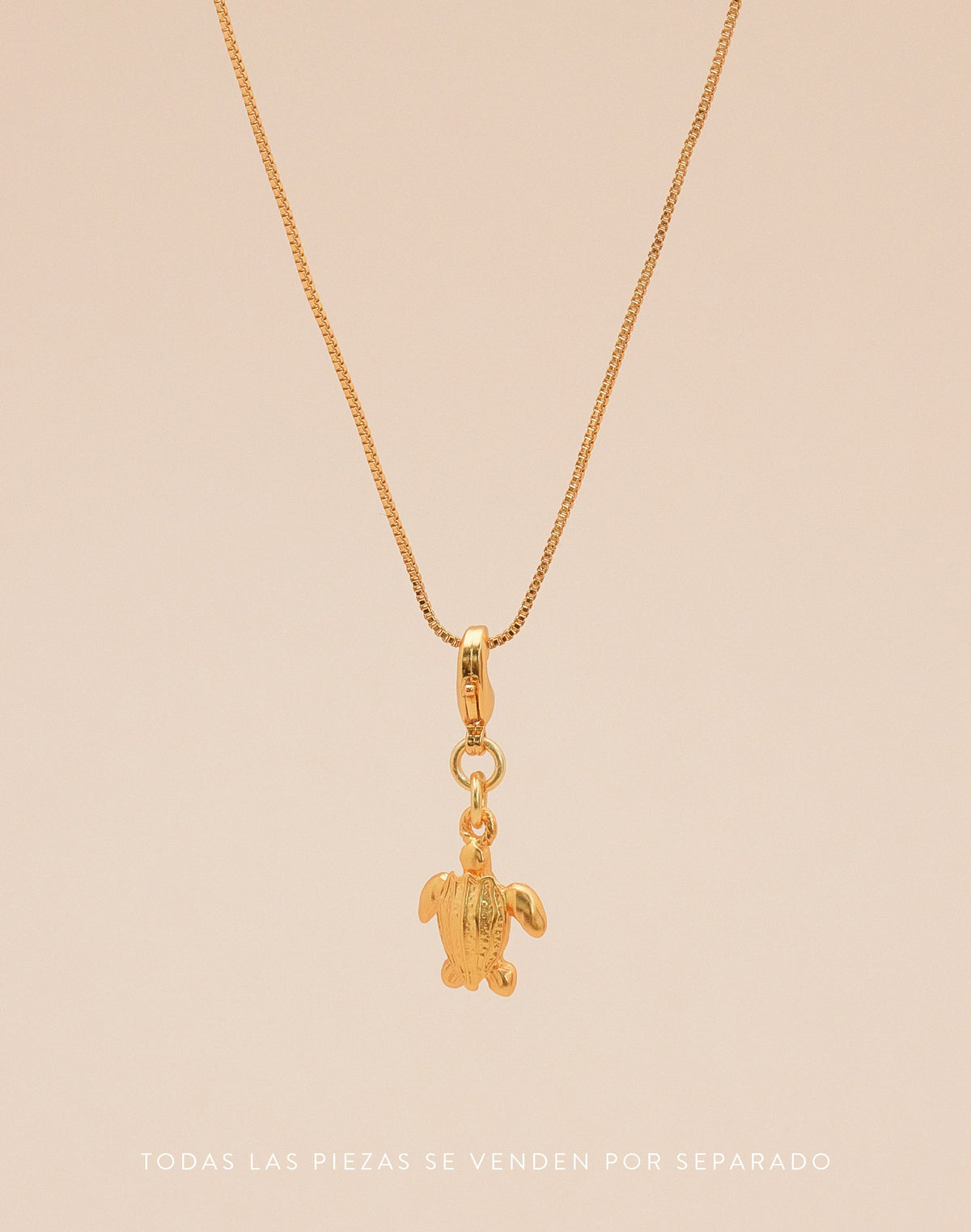 Mini Charm Tortuga