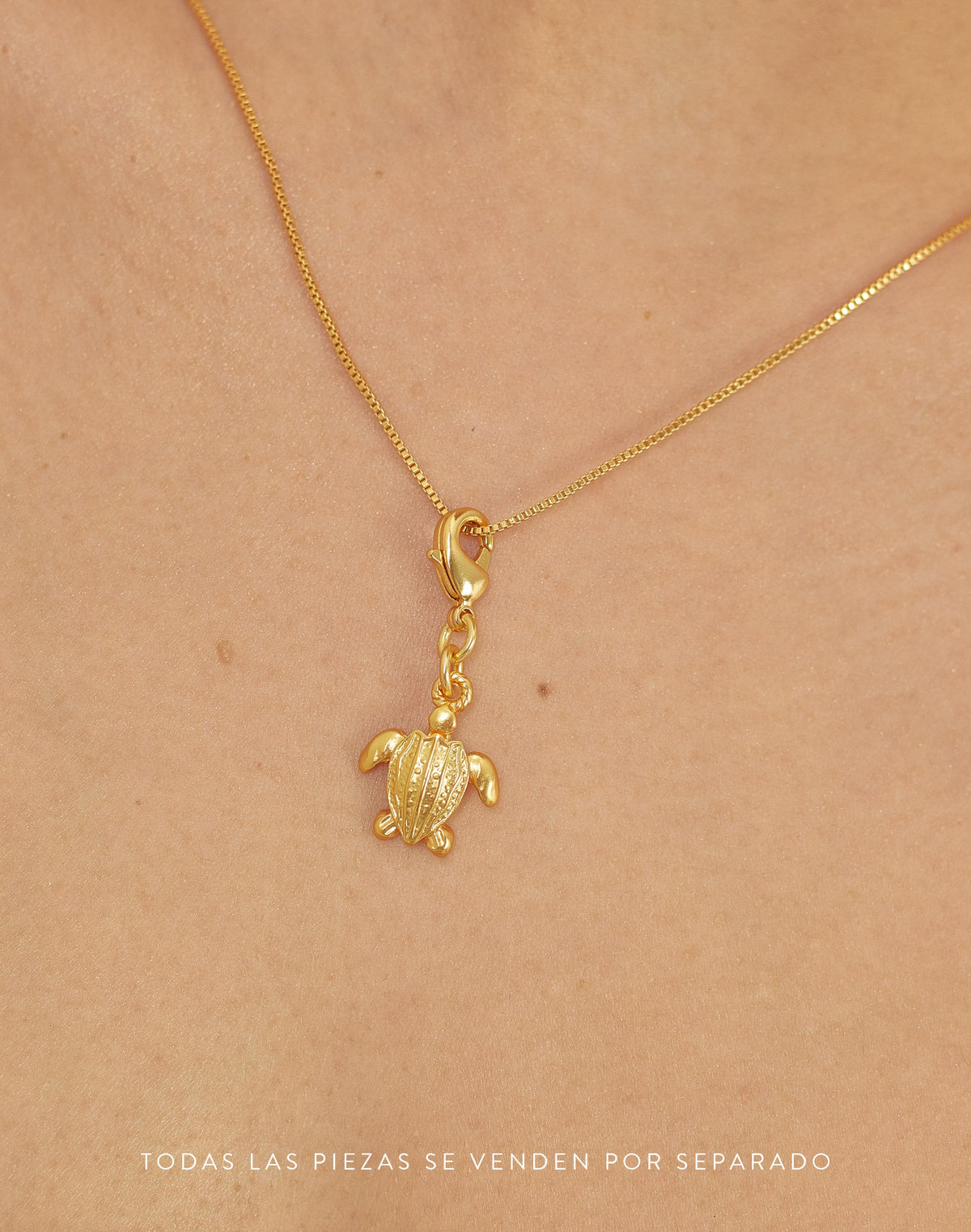 Mini Charm Tortuga