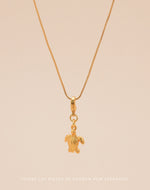 Mini Charm Tortuga