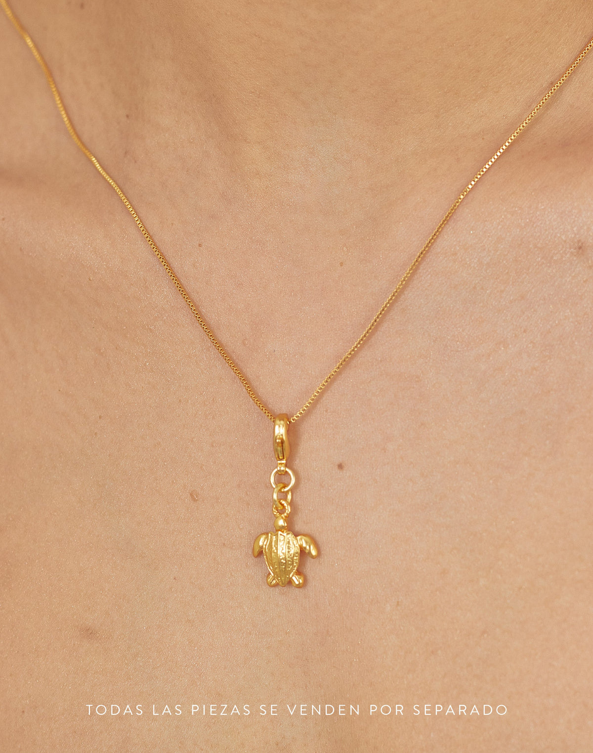 Mini Charm Tortuga