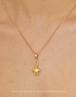 Mini Charm Tortuga