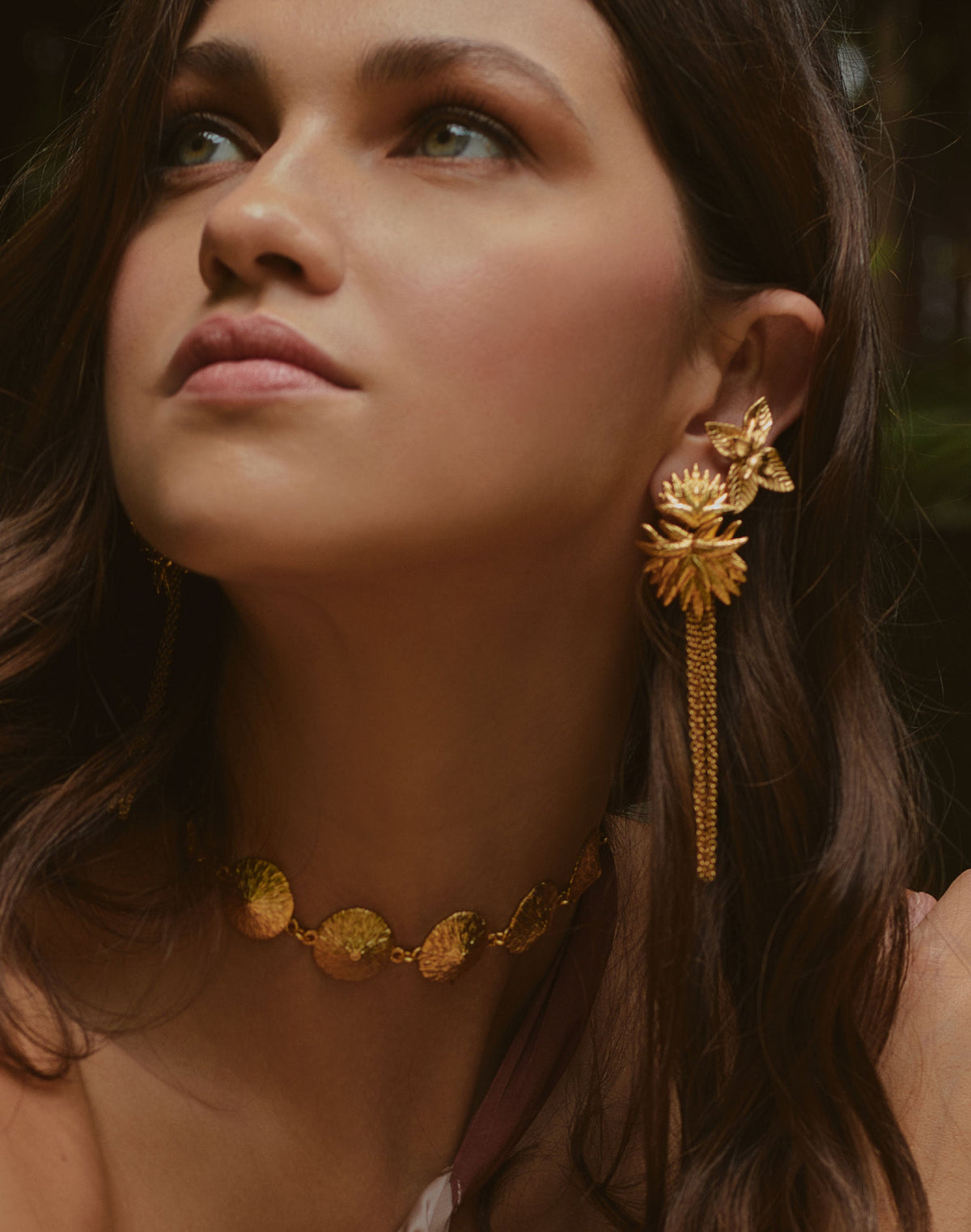 Pendientes Frailejón