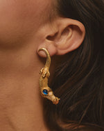 Pendientes Nutria