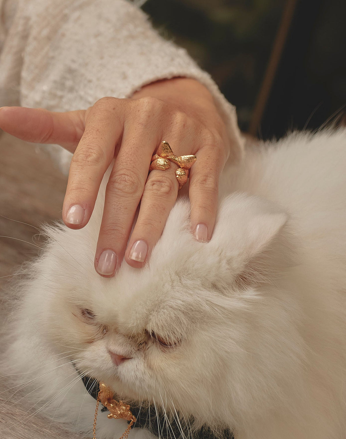 Set de 2 Anillos Meow