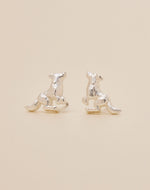 Set de 5 Aretes Boreales