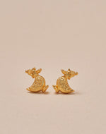 Set de 5 Aretes Farm