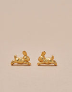 Set de 5 Aretes Farm