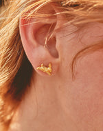 Set de 5 Aretes Farm