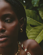 Set de 5 Aretes Mar y Selva