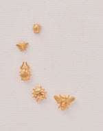 Set de 5 Aretes Mini Insectos
