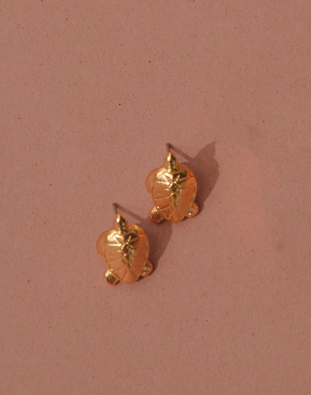 Aretes Tortuga del Mar