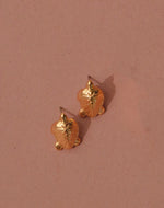 Aretes Tortuga del Mar